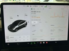 Tesla Model Y Standard Range RWD - ფოტო 6