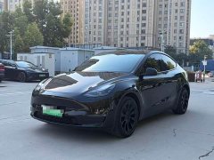 Tesla Model Y Long Range All-Wheel Drive - ფოტო 1