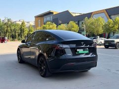 Tesla Model Y Long Range All-Wheel Drive - ფოტო 17
