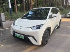 BYD Seagull 305km Freedom Edition - ფოტო 1