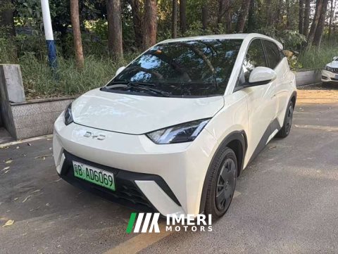 2025 BYD Seagull 305km Freedom Edition - ავტომობილი ჩინეთიდან