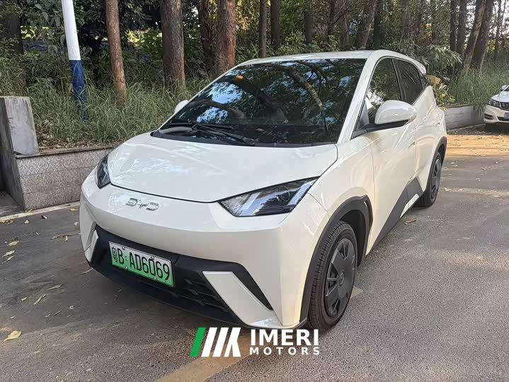 BYD Seagull 305km Freedom Edition