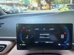 BYD Seagull 305km Freedom Edition - ფოტო 13