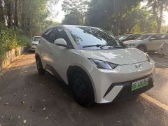 BYD Seagull 305km Freedom Edition - ფოტო 3