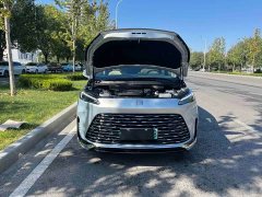 Buick GL8 New Energy Lusang Respect Edition - ფოტო 18