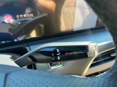 Buick GL8 New Energy Lusang Respect Edition - ფოტო 8