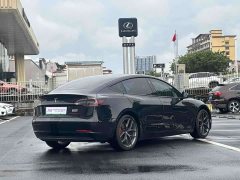 Tesla Model 3 Performance All-Wheel Drive - ფოტო 3
