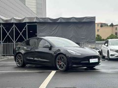 Tesla Model 3 Performance All-Wheel Drive - ფოტო 4