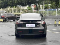 Tesla Model 3 Performance All-Wheel Drive - ფოტო 5