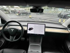 Tesla Model 3 Performance All-Wheel Drive - ფოტო 9