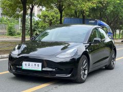 Tesla Model 3 Facelift Standard Range RWD Upgrade 3D1 - ფოტო 1