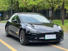 Tesla Model 3 Facelift Standard Range RWD Upgrade 3D1 - ფოტო 3