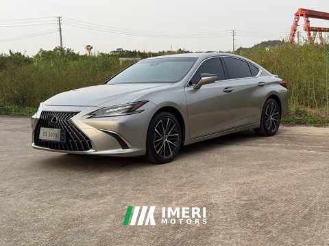 2023 Lexus ES 300h Premium Edition - car from China