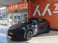 Tesla Model Y Rear-Wheel Drive - ფოტო 1