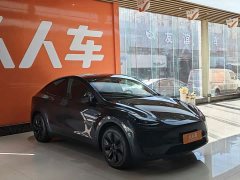 Tesla Model Y Rear-Wheel Drive - ფოტო 3