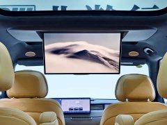 IM Motors Zhiji LS8 52 Max Luxury Six-Seater - ფოტო 19
