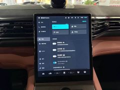 NIO EC6 2020 605KM Sport Edition - ფოტო 14