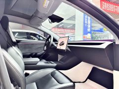Tesla Model 3 2023 Long Range All-Wheel Drive - ფოტო 14
