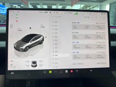 Tesla Model 3 2023 Long Range All-Wheel Drive - ფოტო 15