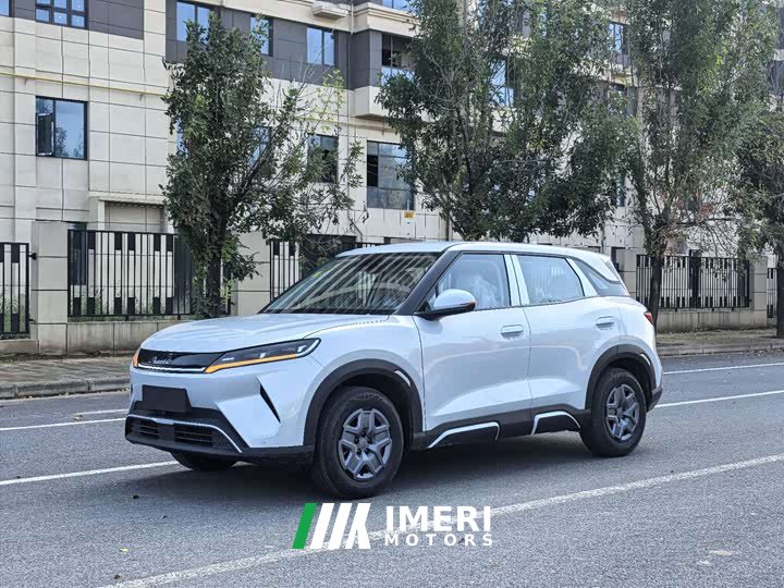 BYD Yuan UP 2027 Flying Edition 401KM Pilot - ავტომობილი ჩინეთიდან
