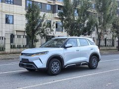 BYD Yuan UP 2027 Flying Edition 401KM Pilot - ფოტო 1