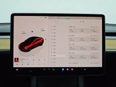 Tesla Model 3 Rear-Wheel Drive - ფოტო 11