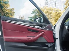 BMW 5 Series Facelift 525Li M Sport Package - ფოტო 11