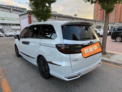 Honda Elysion 2.0L e:HEV Luxury Black Jazz Edition - photo 14