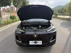 Changan CS55 Plus Third Generation 1.5T DCT Luxury - ფოტო 8