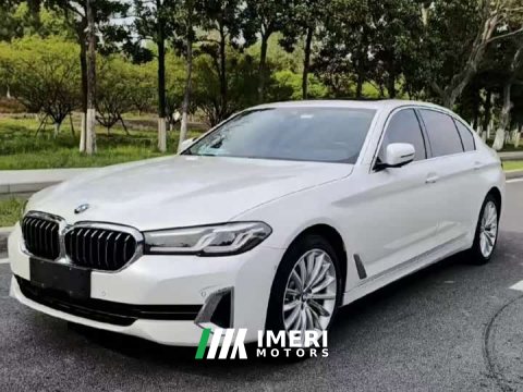 2021 BMW 5 Series 530Li Luxury Edition Premium Package - ავტომობილი ჩინეთიდან