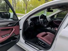 BMW 5 Series 530Li Luxury Edition Premium Package - ფოტო 6