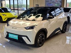 BYD Seagull Freedom Edition - ფოტო 1