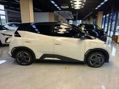 BYD Seagull Freedom Edition - ფოტო 3