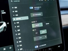Tesla Model 3 Facelift Performance All-Wheel Drive 3D1 - ფოტო 7