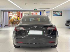 Tesla Model 3 Rear-Wheel Drive - ფოტო 5