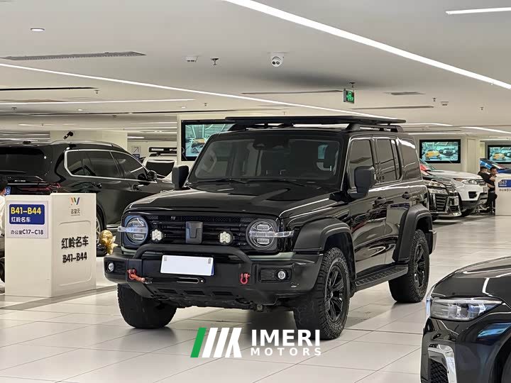 Tank 300 2021 Off-Road Edition 2.0T Conqueror - ავტომობილი ჩინეთიდან