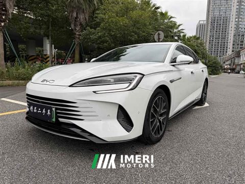 2023 BYD Dolphin DM-i 1.5T 121km Premier - ავტომობილი ჩინეთიდან