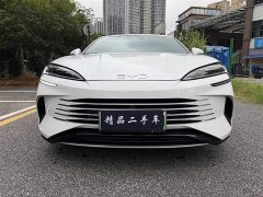 BYD Dolphin DM-i 1.5T 121km Premier - ფოტო 2