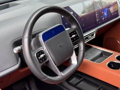 Li Auto L9 Max - ფოტო 18