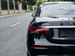 Mercedes-Benz E-Class E 300 L Luxury - ფოტო 14