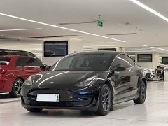 Tesla Model 3 Standard Range RWD Upgrade - ფოტო 1