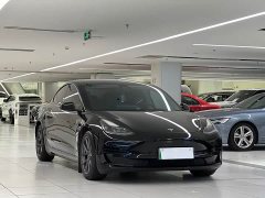 Tesla Model 3 Standard Range RWD Upgrade - ფოტო 3