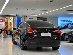 Tesla Model 3 Standard Range RWD Upgrade - ფოტო 5