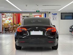 Tesla Model 3 Standard Range RWD Upgrade - ფოტო 6
