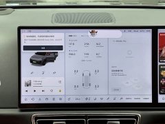 Li Auto L8 Pro - ფოტო 11