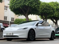 Tesla Model 3 2023 Rear-Wheel Drive - ფოტო 1