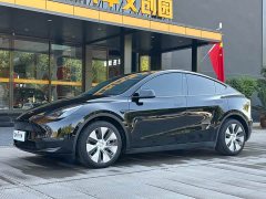 Tesla Model Y Long Range All-Wheel Drive - ფოტო 1