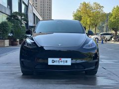 Tesla Model Y Long Range All-Wheel Drive - ფოტო 2