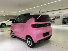 BMW Hongguang MINIEV Macaron Premium Edition LFP - ფოტო 9