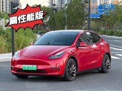 Tesla Model Y Performance All-Wheel Drive - ფოტო 1